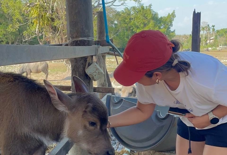 Tiny moments, huge happiness 🐃✨