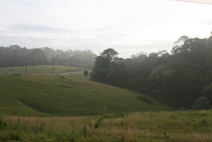 Khao Yai National Park