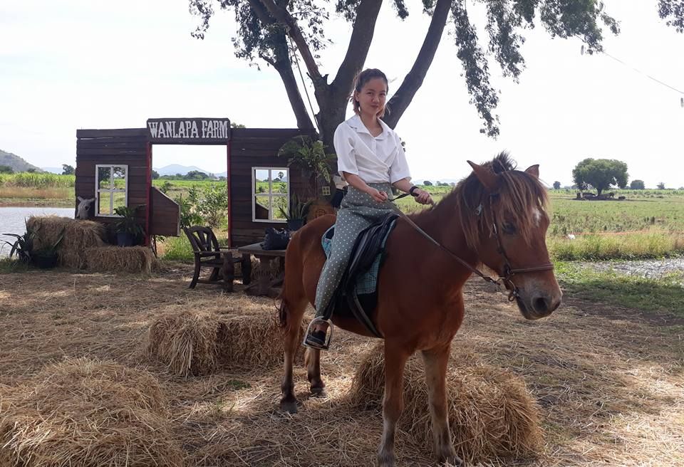 This is at Wanlapa Farmstay