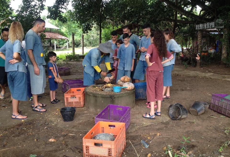 Preparing food for the elephants