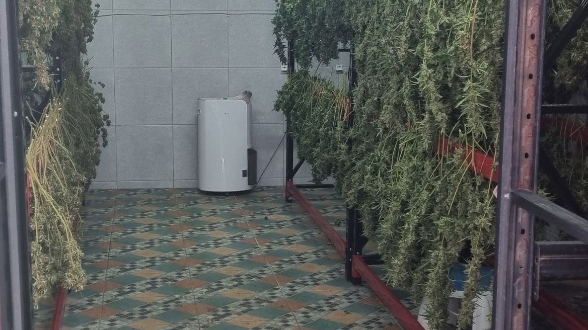 Experience our dry room