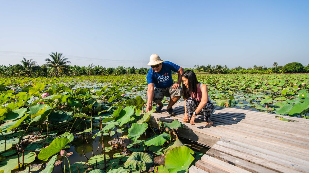 At the lotus pond