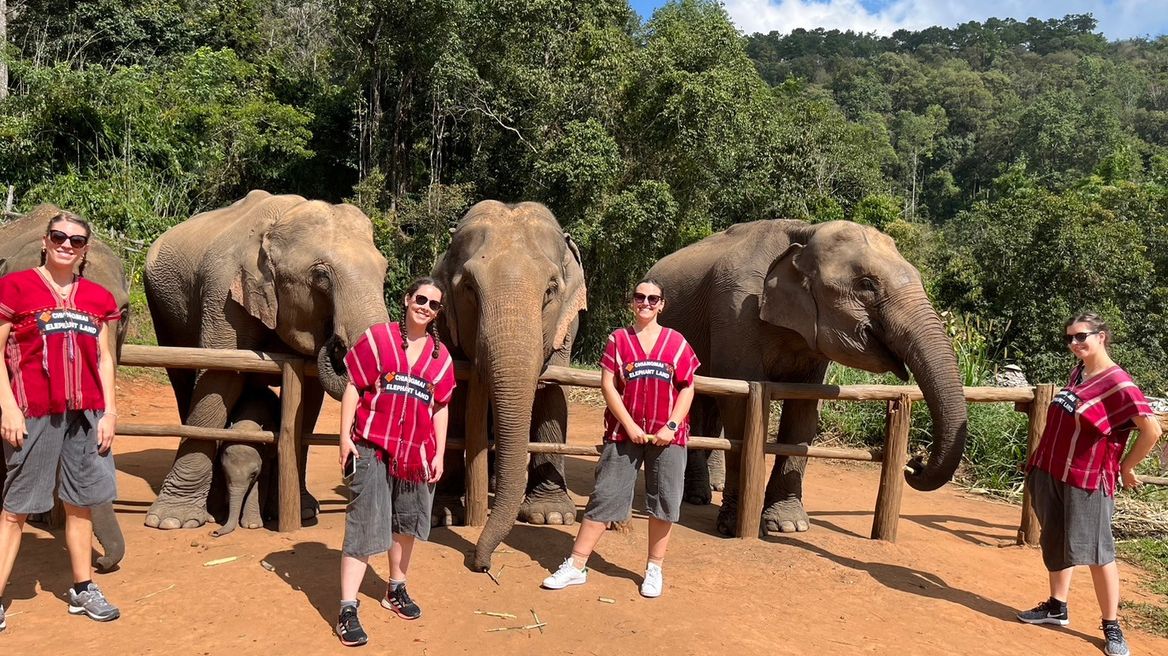 Small-group, ethical, and unforgettable full-day experience