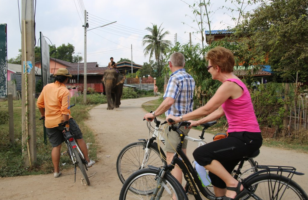Elephants in Ayutthaya