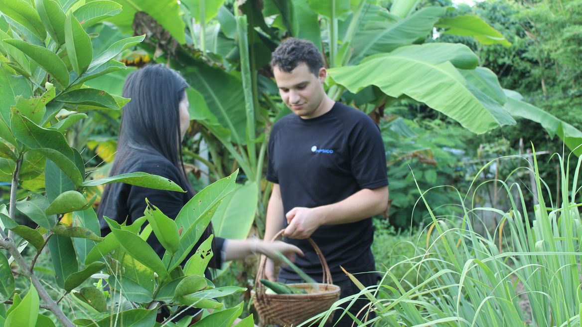 Visit the organic farm