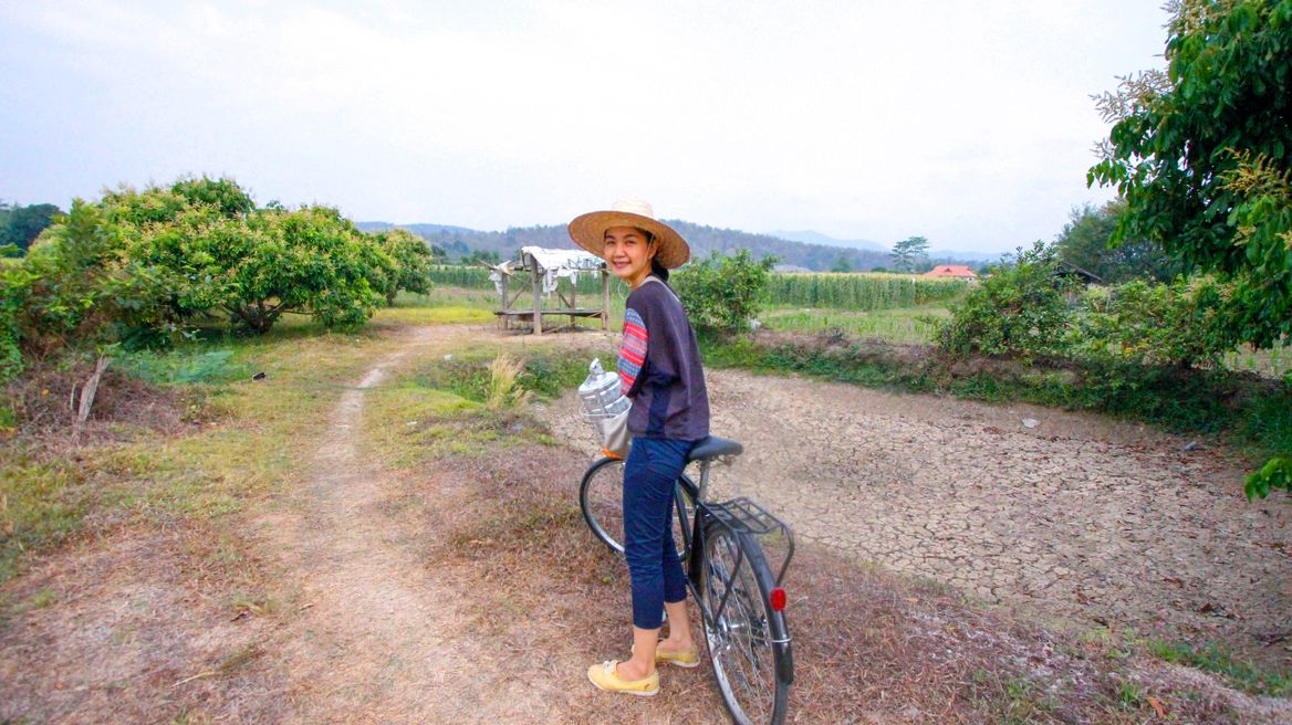 Cycle trip in Chiang Mai: bike along the greenery