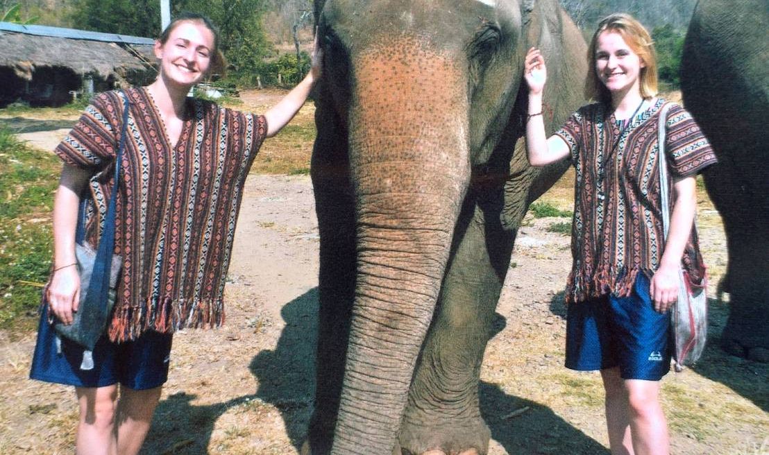 take a photo with elephant