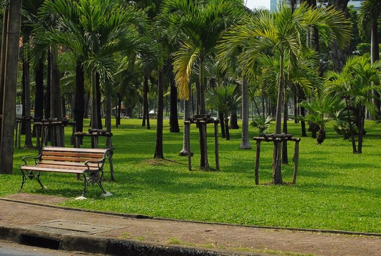 The green park where Thais come to chill and jog