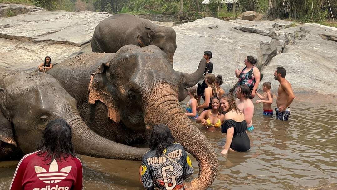 Bath them in the river 