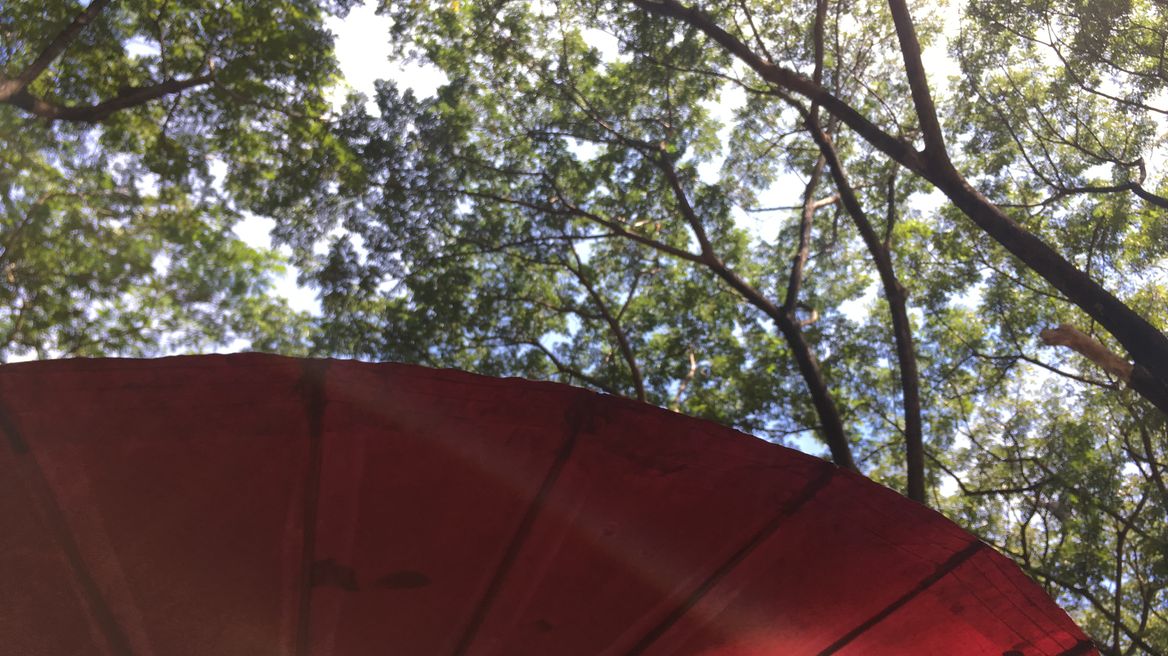 Artisan market under tress and umbrella shade