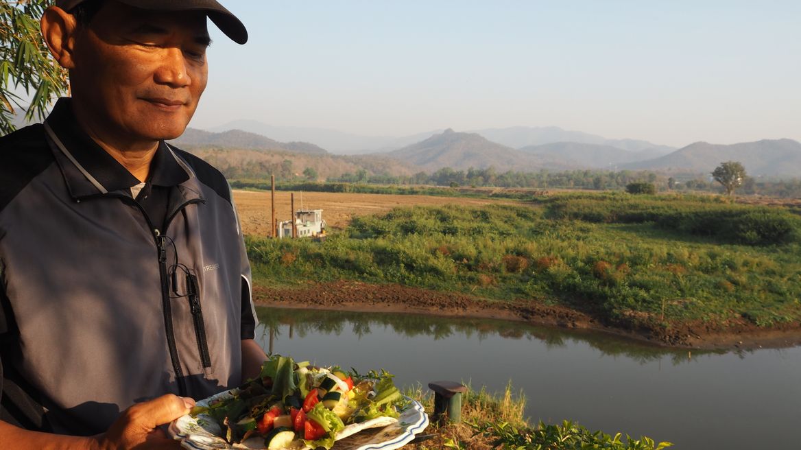 Enjoy fresh vegetable & local grown among nature