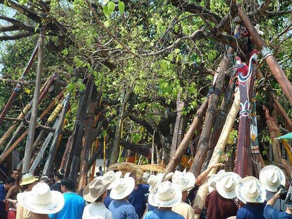 The lanna Mai Kham.