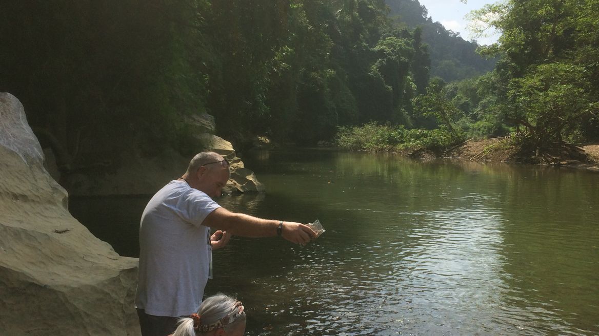 Feed some fish at sok river