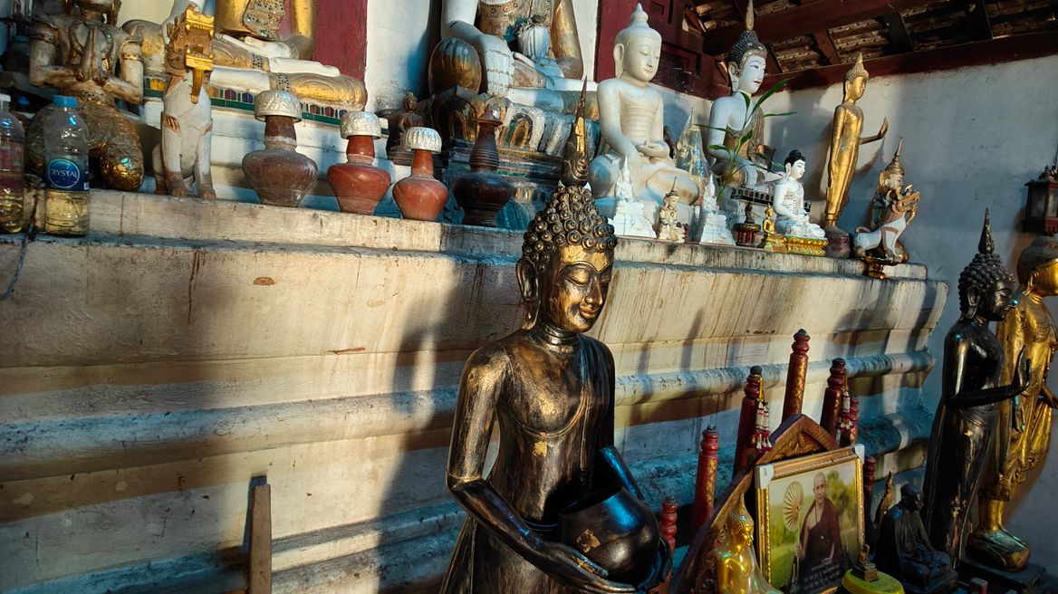 Many different style of Buddhas