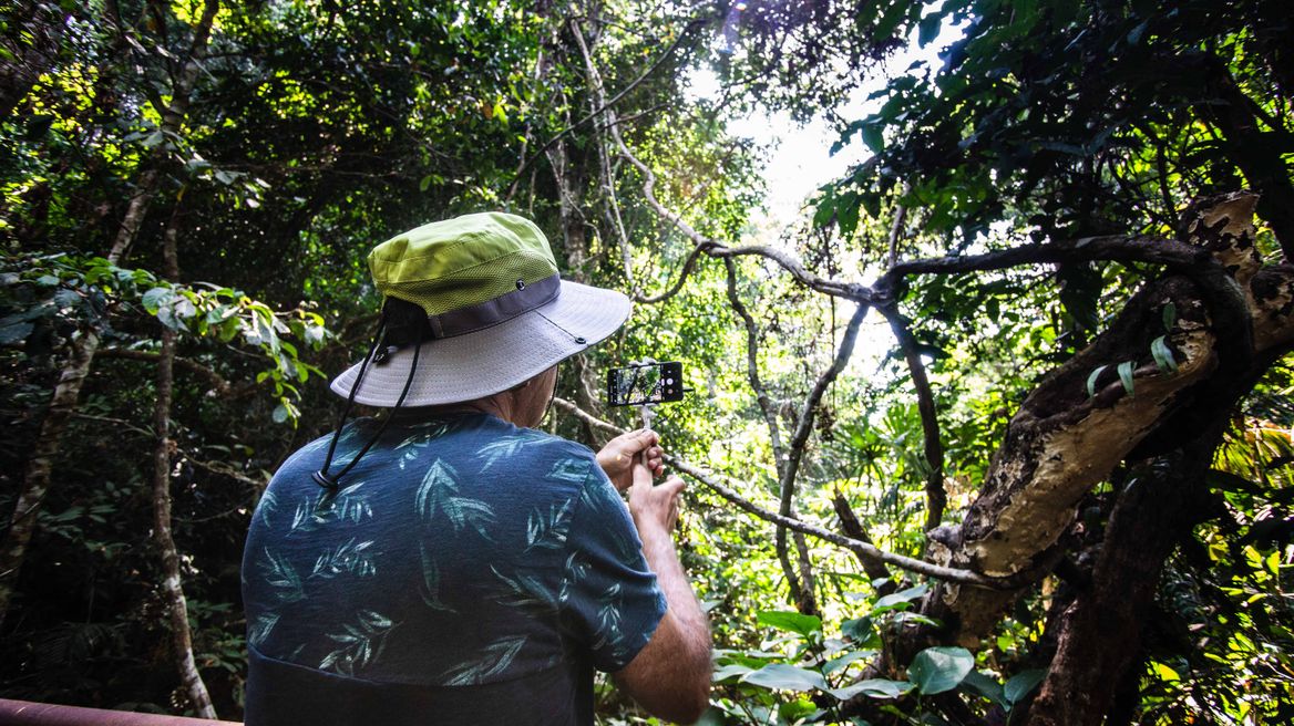Enjoy the details in the national park