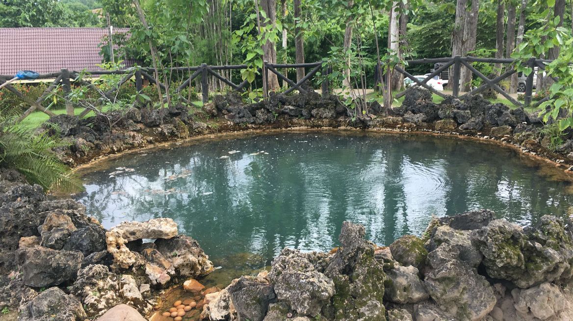 Hot spring 