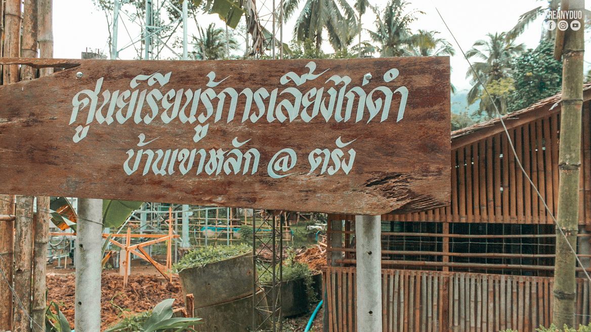 เยี่ยมชมศูนย์การเรียนรู้ไก่ดำ บ้านเขาหลัก