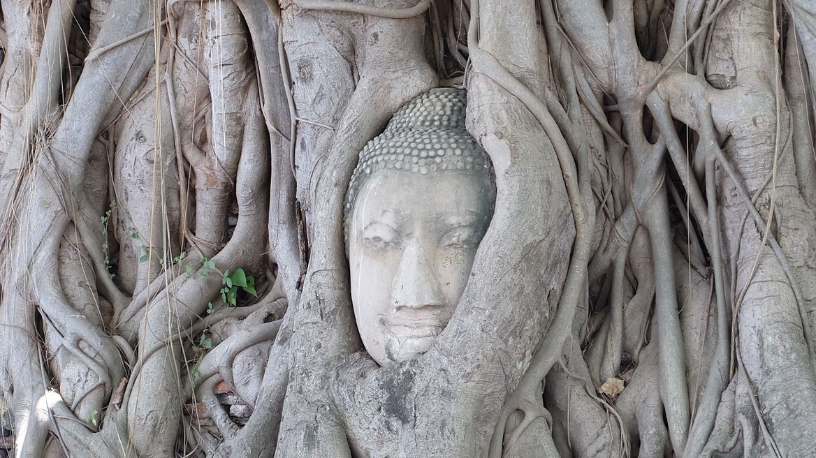 Wat Maha That 
