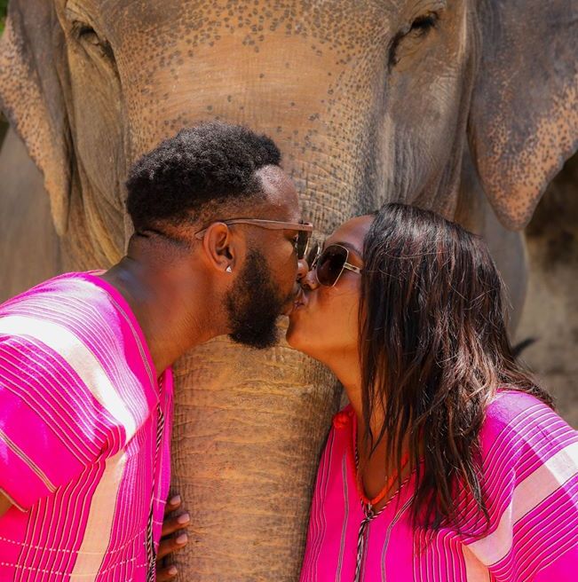 You can have many time to take best photos with elephant.