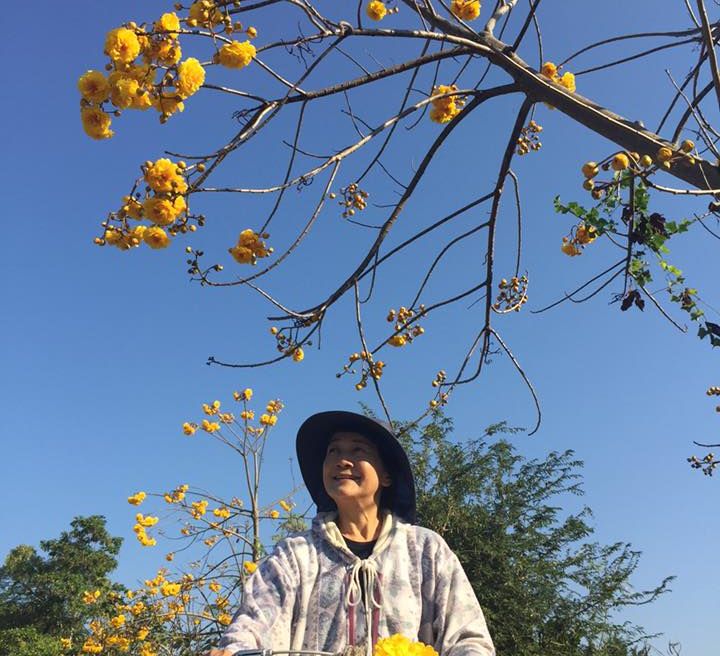 Beautiful nature blooming upon season