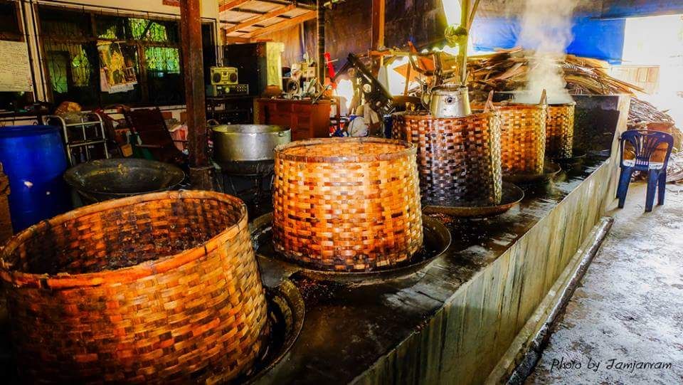 learn how to make coconut palm sugar