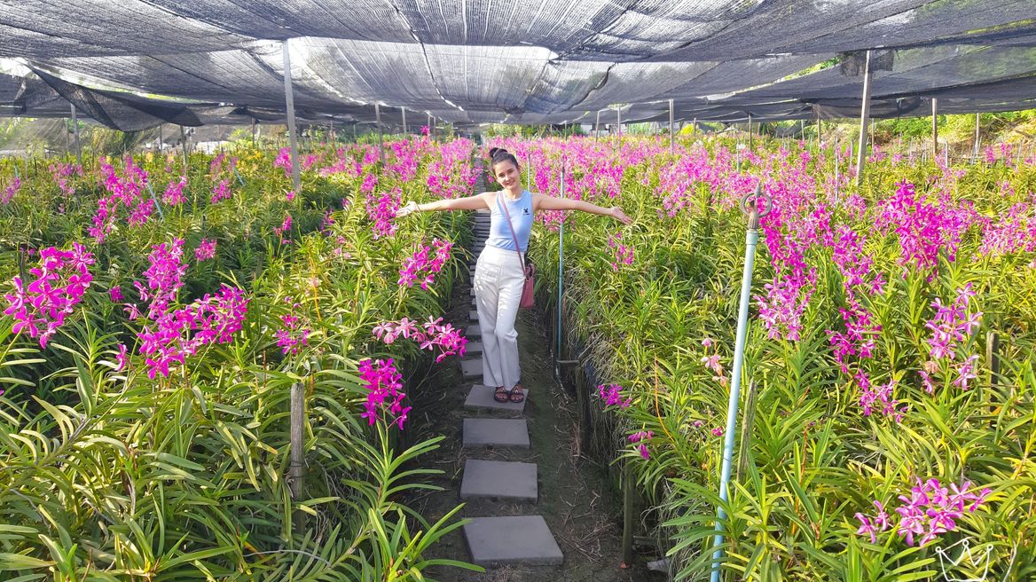 Orchid farm