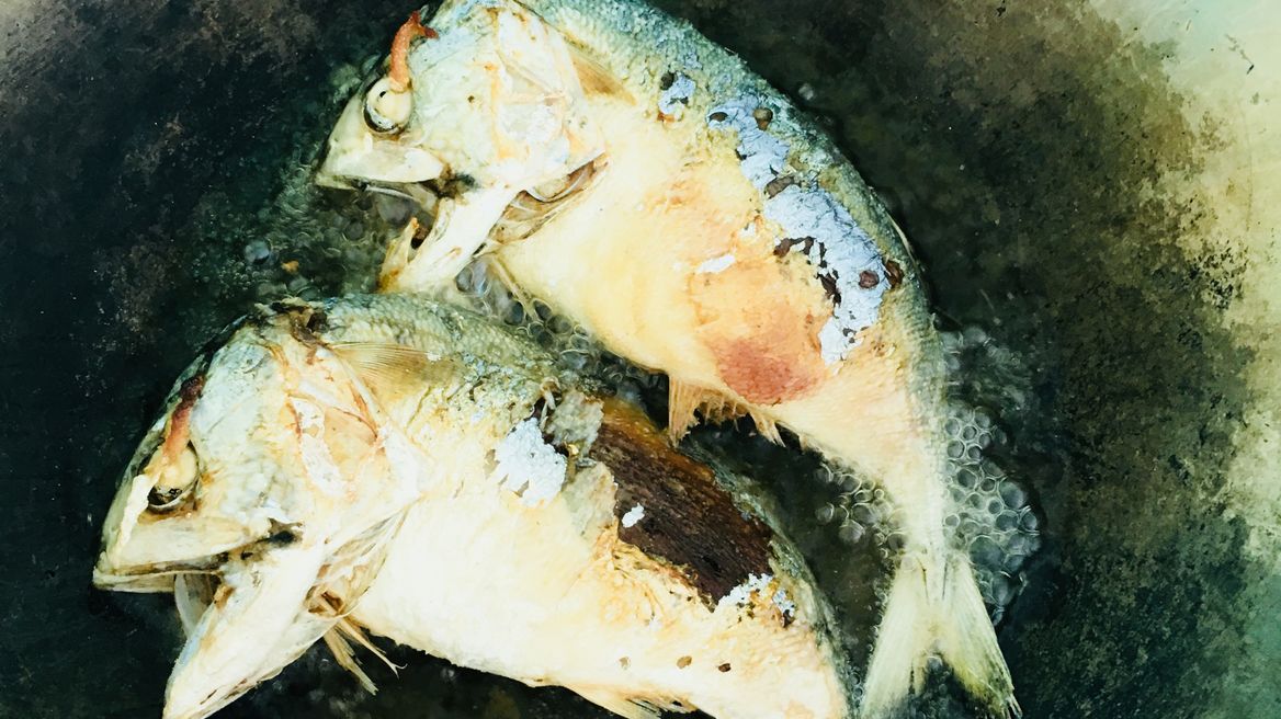 Fried Thai mackerels 