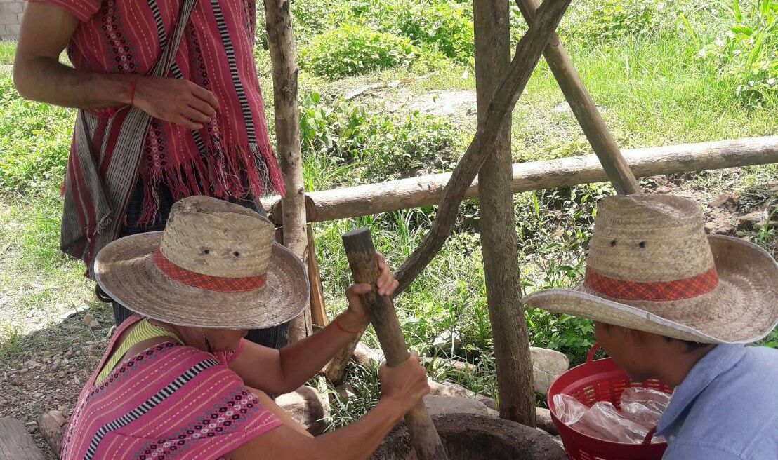 Make medicine for elephants
