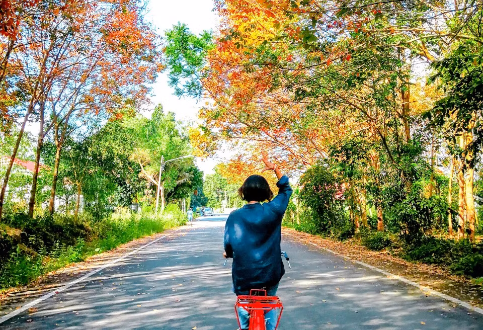 ปั่นจักรยานรอบบ้านเกาะหมาก