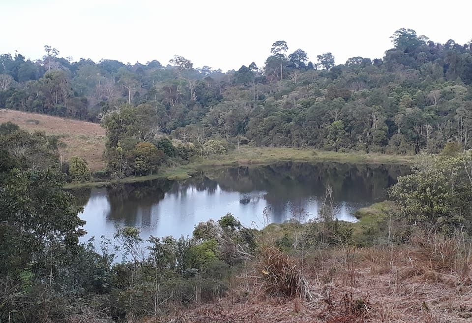 Khao Yai National Park