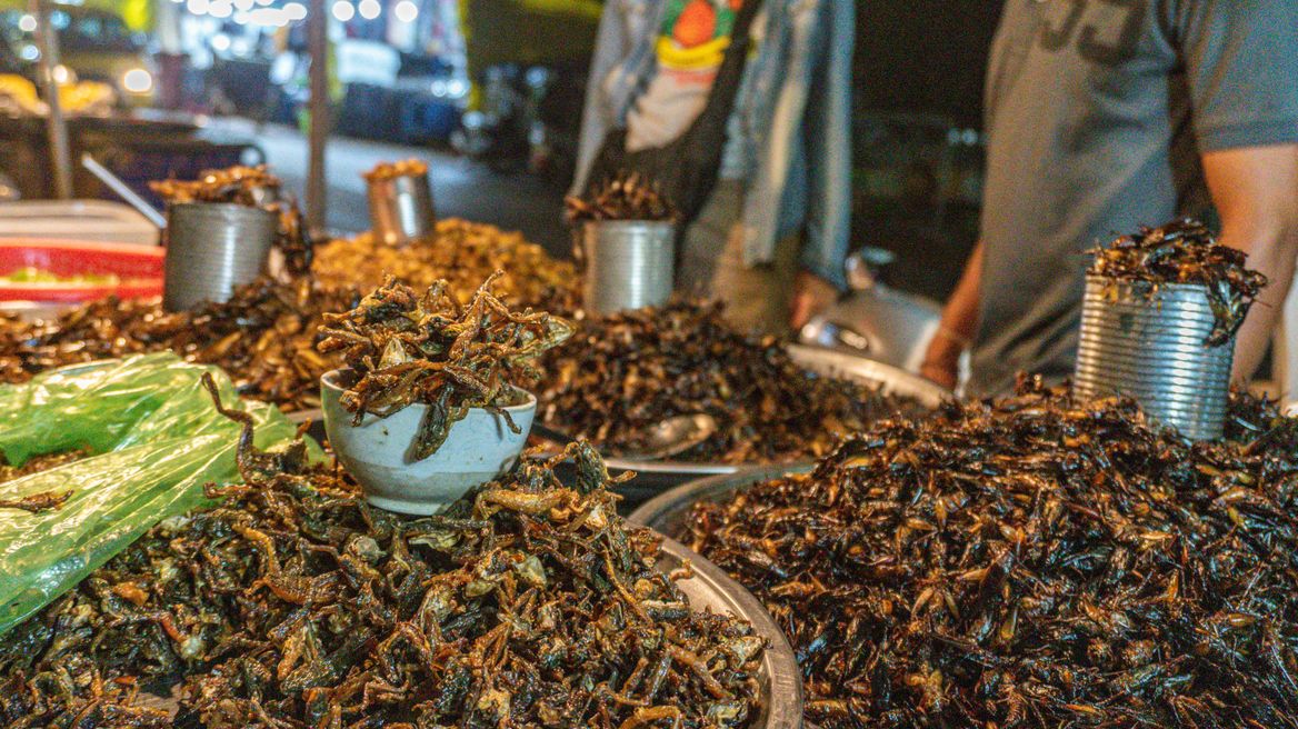 Bugs street foods testing 