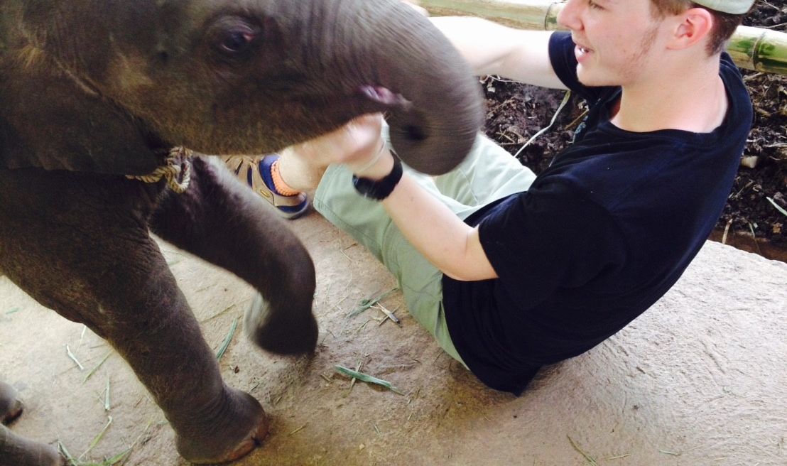 Feeding baby elephant
