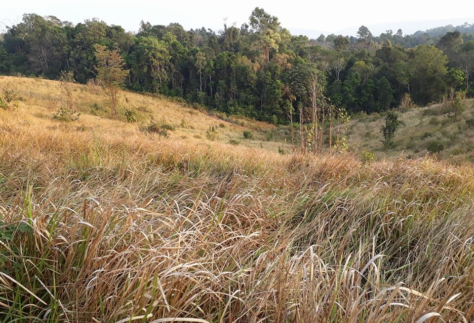 Khao Yai National Park