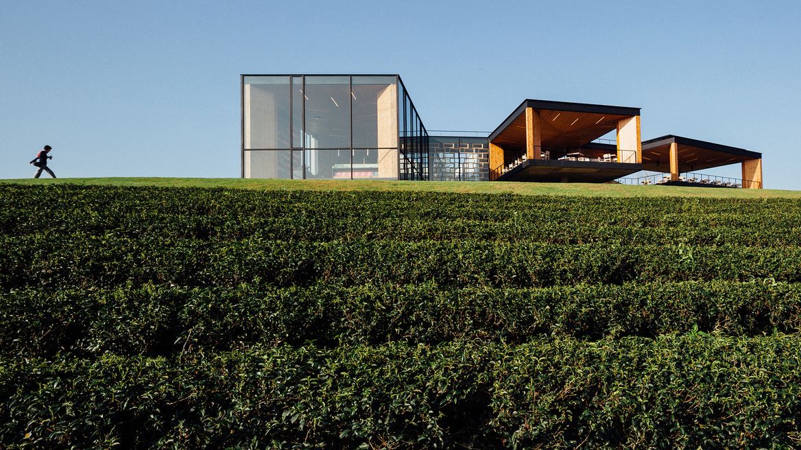 Choui Fong tea plantation : Buildings that are attractive especially for architect