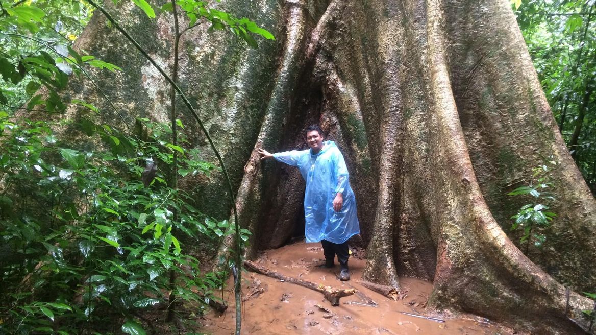 That me!! And that is big tree the end of jungle walk way