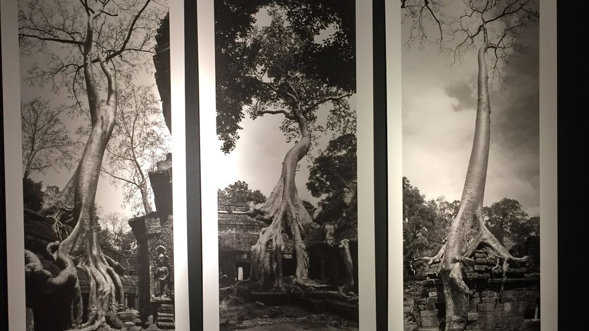 Serindia Art gallery, exhibition