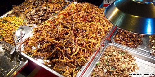Fried insects