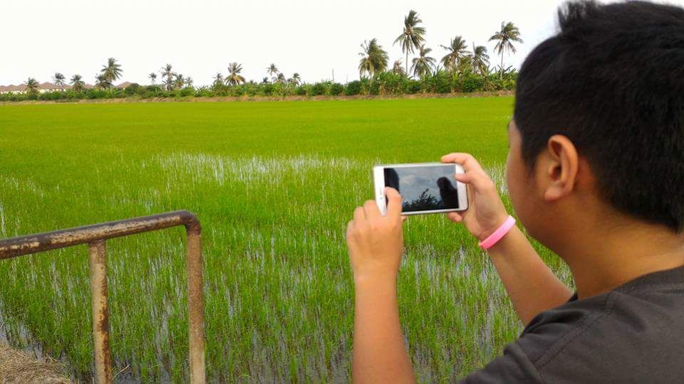 Taking pictures of this beautiful scenery in the rice fields.