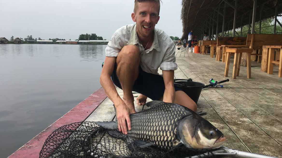 Small Siamese carp