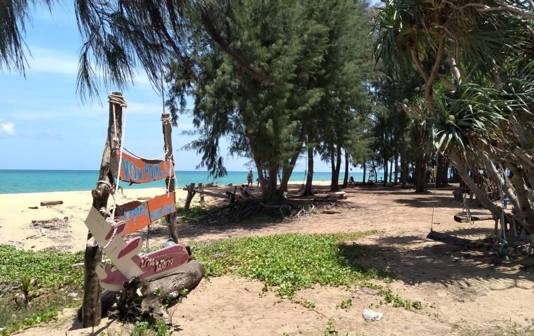 Golden sands, whispering pines, and the gentle sea breeze at Mai Khao Beach – nature’s quiet escape in Phuket.