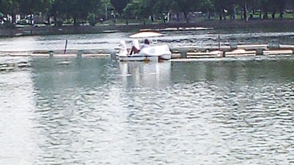 Paddling in the park'spond