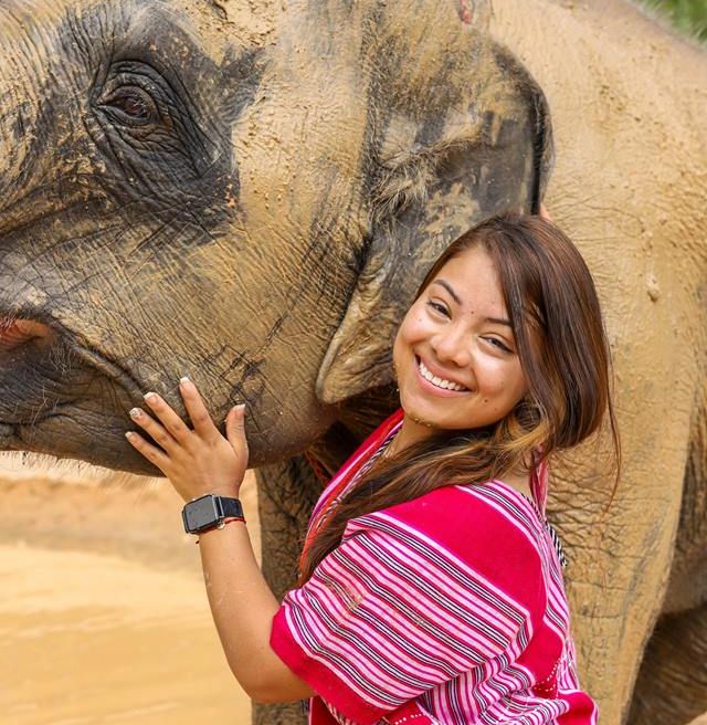 Happy to play the muddy with elephants.