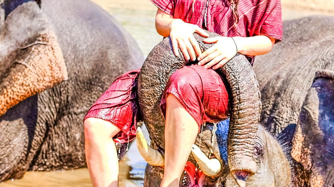 Have fun and enjoy with elephant