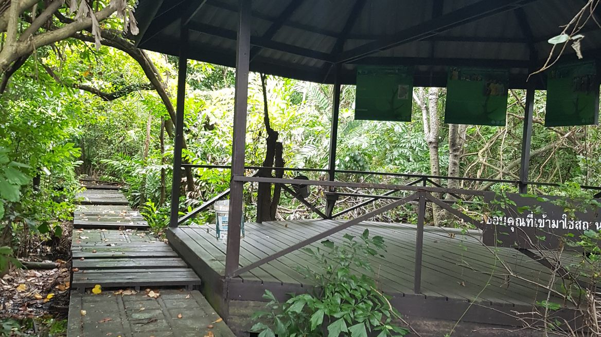 Natural Learning Center