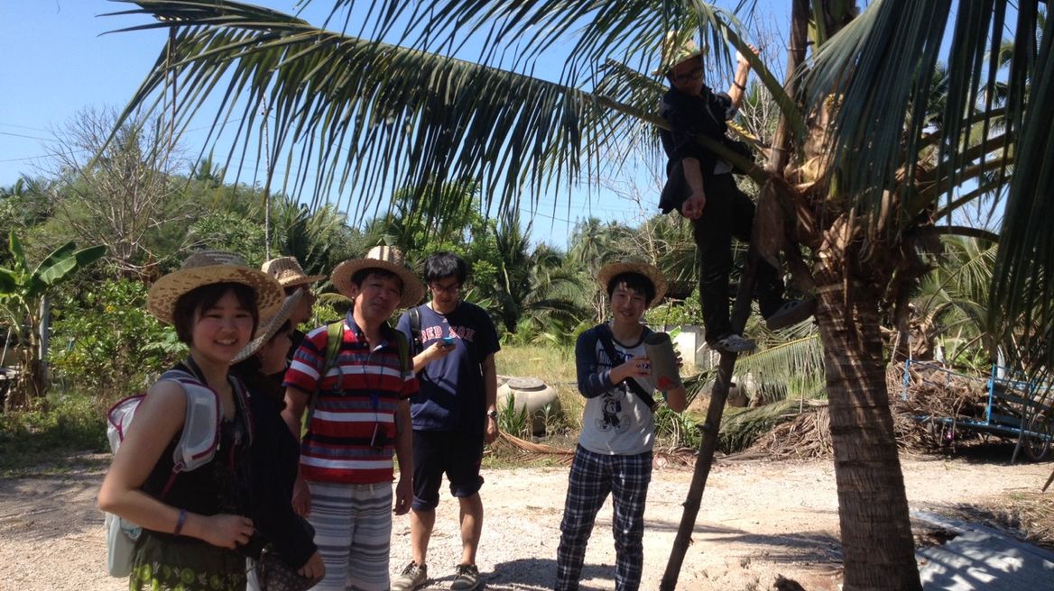 Enjoy coconut farm
