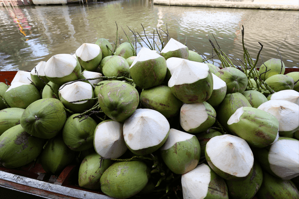 Fresh Coconut