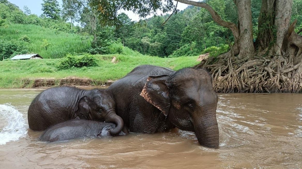 Bathing with the mother