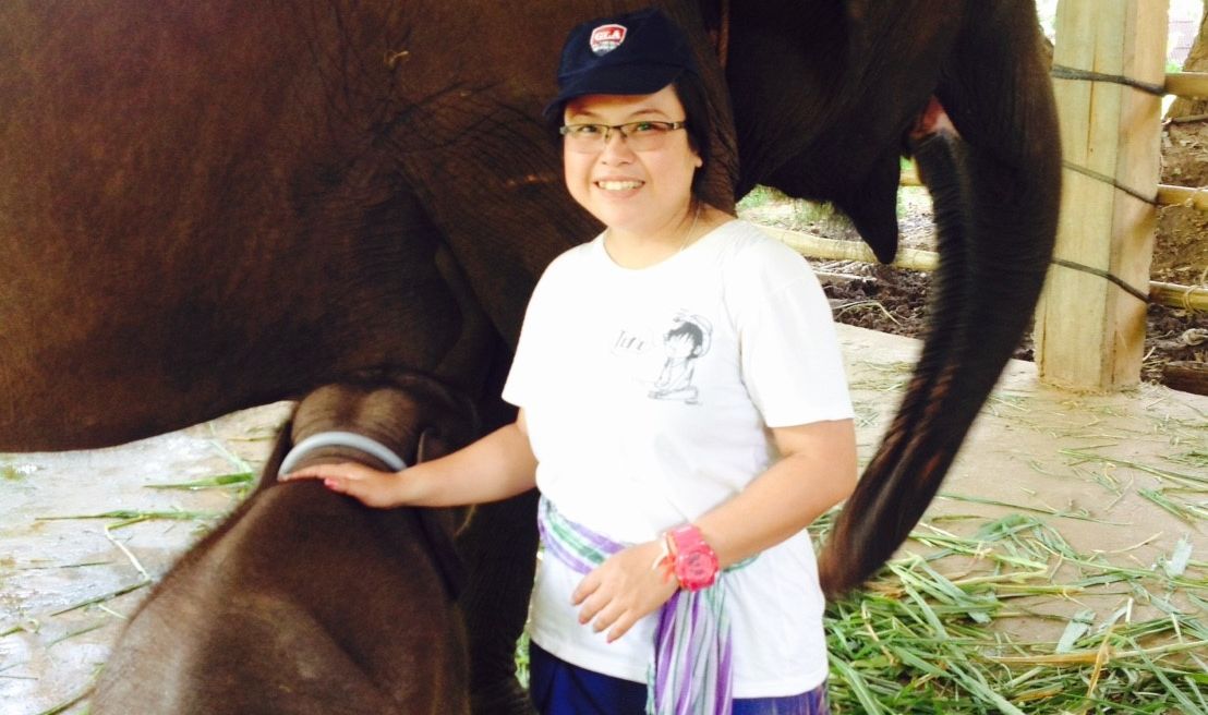 Ethical Elephant Day Care in Chiang Mai