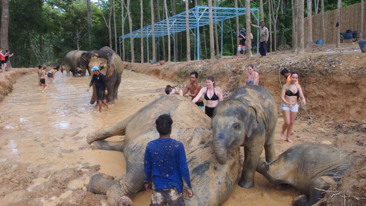 mud spa