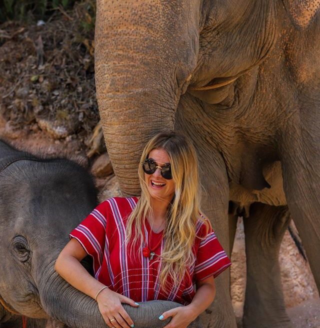 Elephant can hug you very lovely.